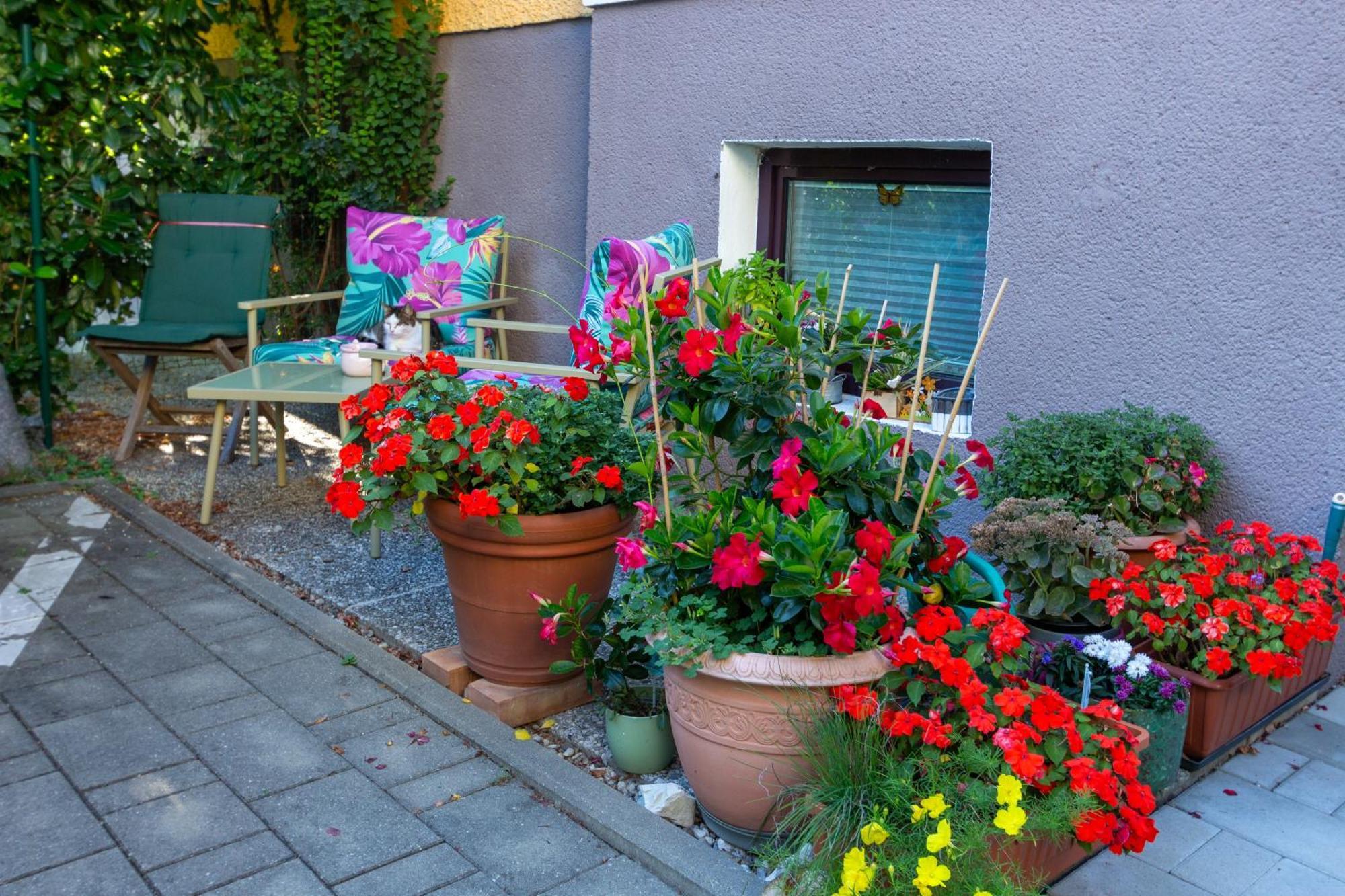 Benjamins Refugium Apartment Salzburg Exterior foto